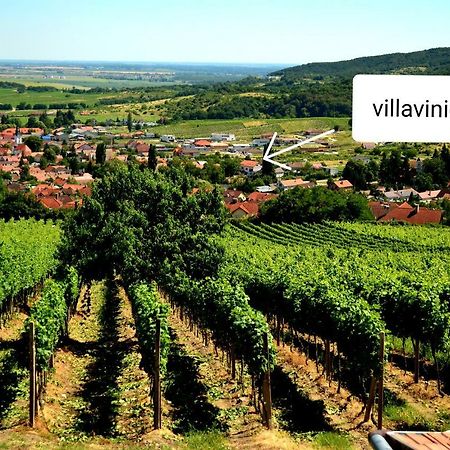 Villa Vinica Limpak Kültér fotó