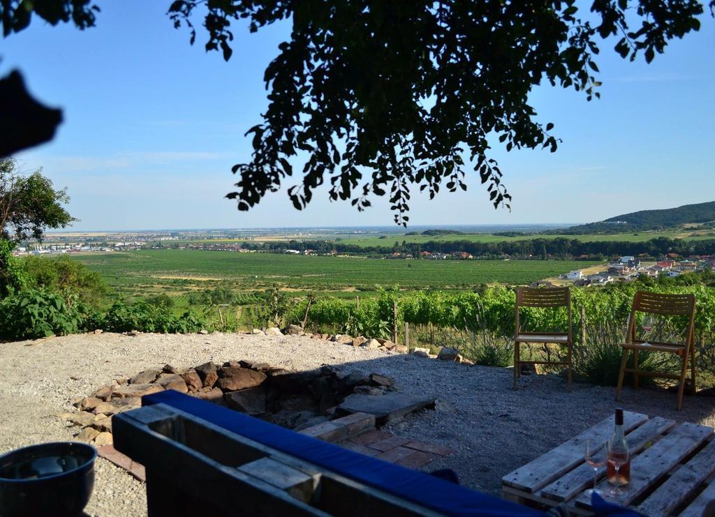 Villa Vinica Limpak Kültér fotó