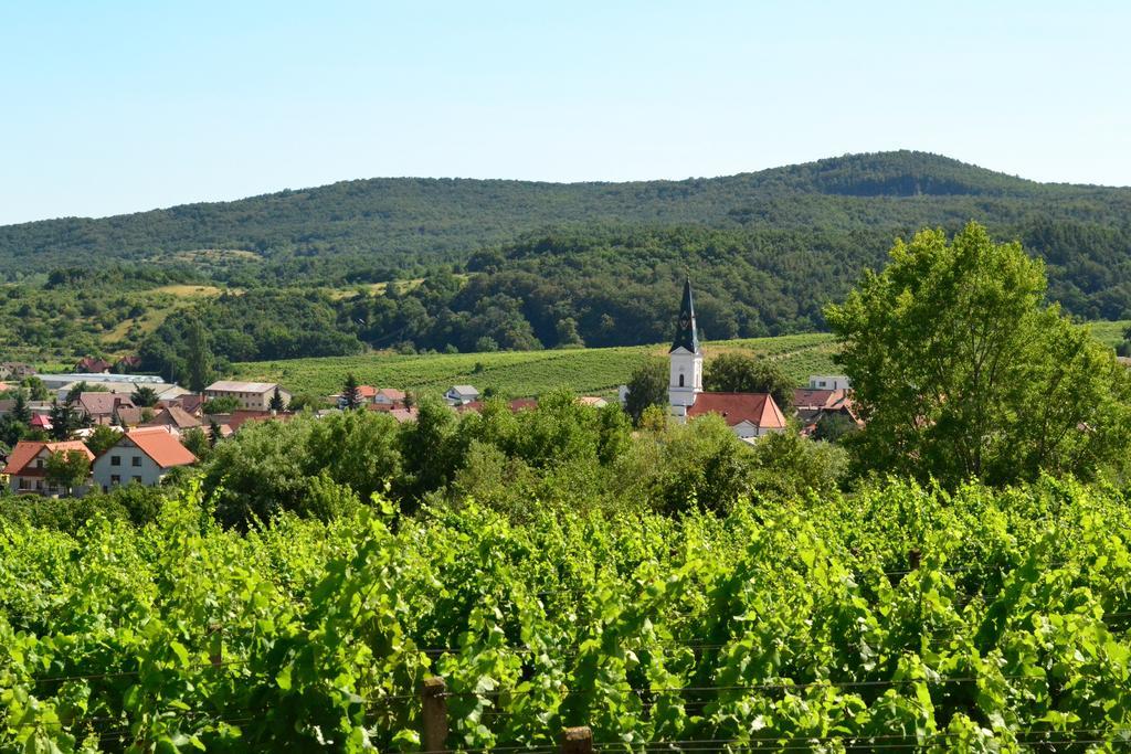 Villa Vinica Limpak Kültér fotó