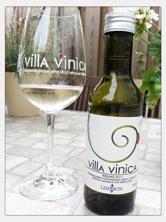 Villa Vinica Limpak Kültér fotó