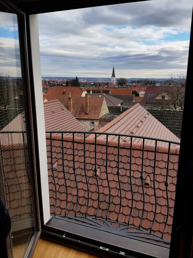 Villa Vinica Limpak Kültér fotó