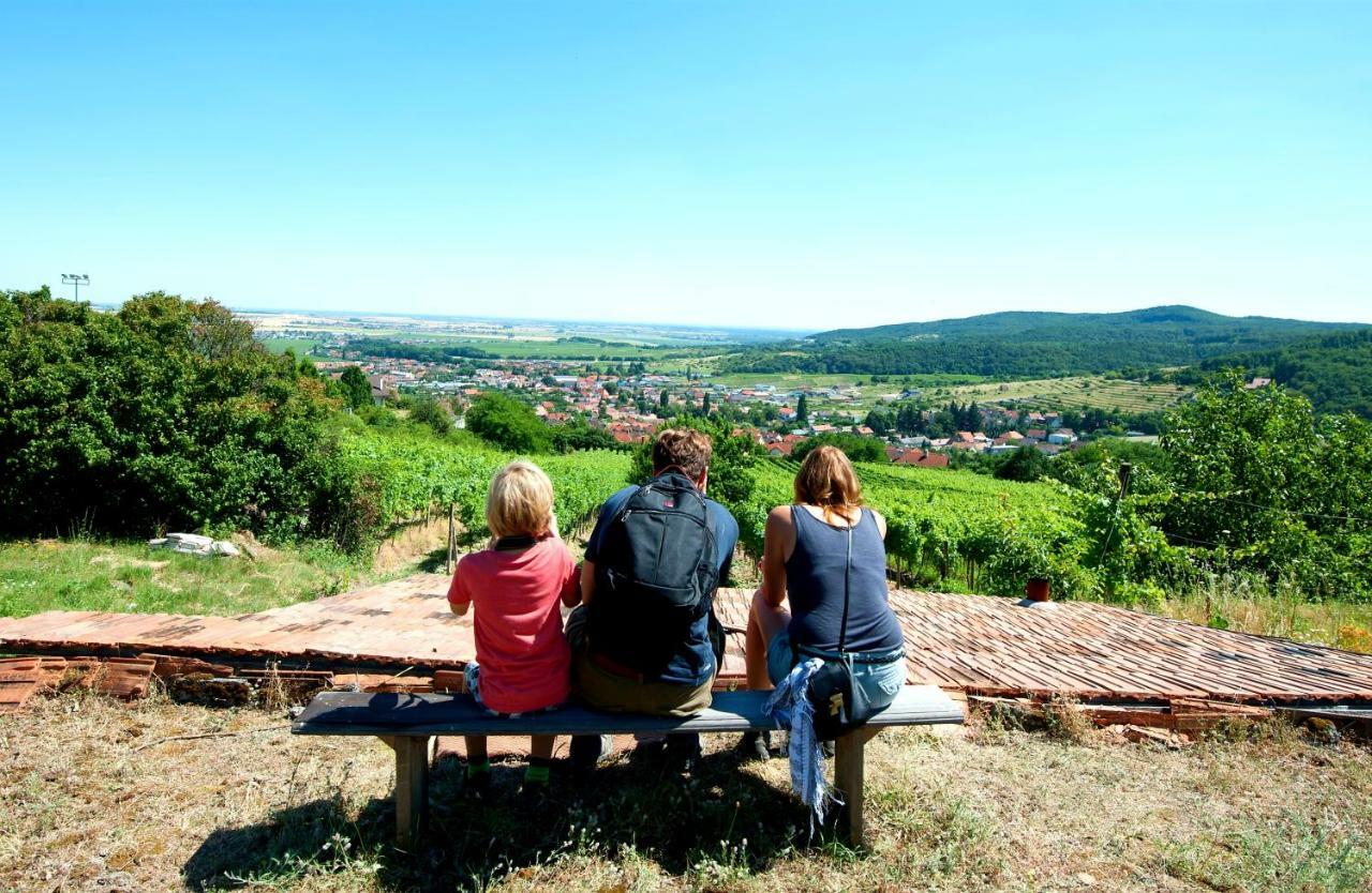 Villa Vinica Limpak Kültér fotó